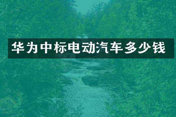 华为中标电动汽车多少钱