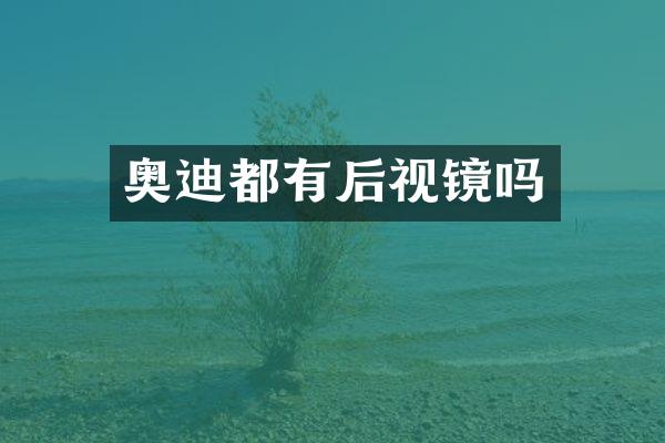 奥迪都有后视镜吗