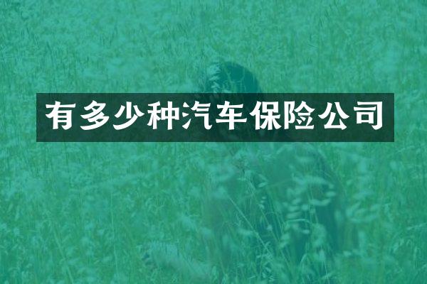 有多少种汽车保险公司