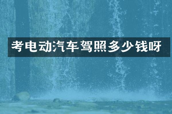 考电动汽车驾照多少钱呀
