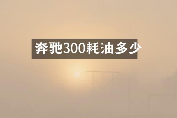 奔驰300耗油多少
