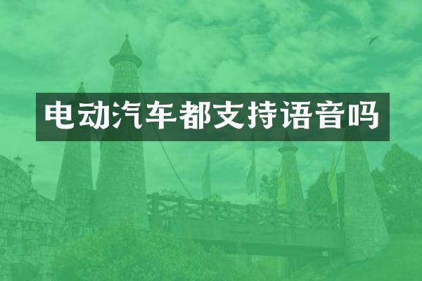 电动汽车都支持语音吗