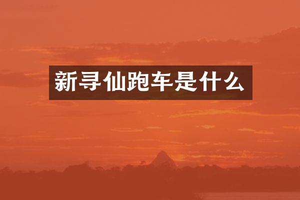 新寻仙跑车是什么