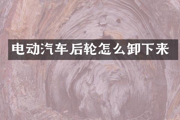 电动汽车后轮怎么卸下来