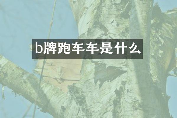 b牌跑车车是什么