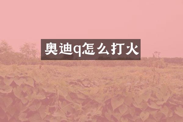 奥迪q怎么打火