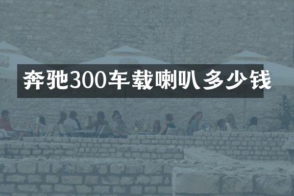 奔驰300车载喇叭多少钱