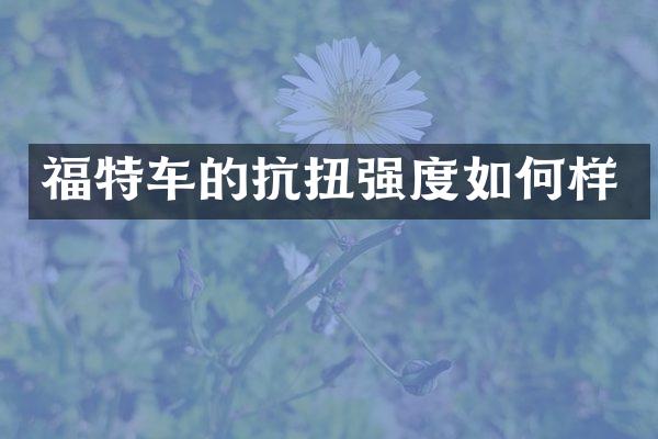 福特车的抗扭强度如何样
