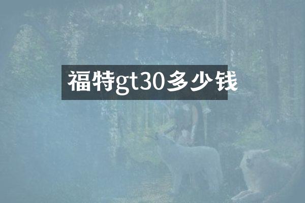 福特gt30多少钱