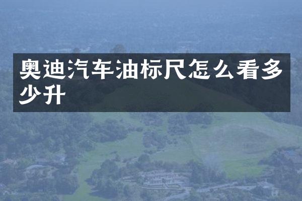 奥迪汽车油标尺怎么看多少升