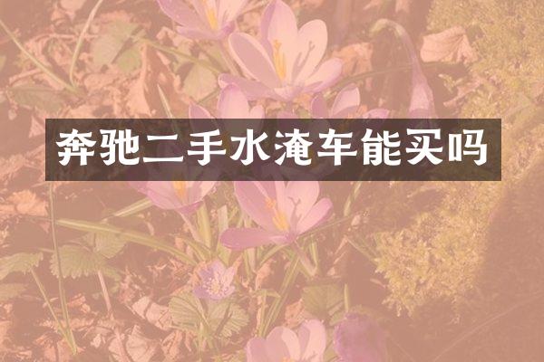 奔驰二手水淹车能买吗