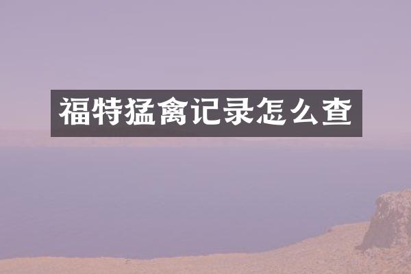 福特猛禽记录怎么查