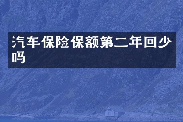 汽车保险保额第二年回少吗