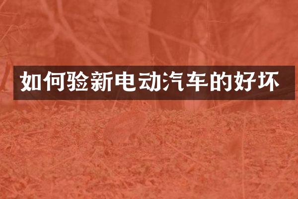 如何验新电动汽车的好坏
