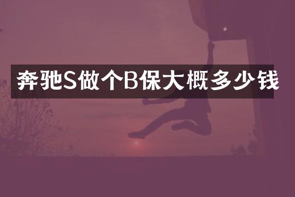 奔驰S做个B保大概多少钱