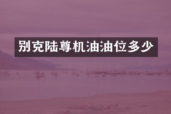 别克陆尊机油油位多少