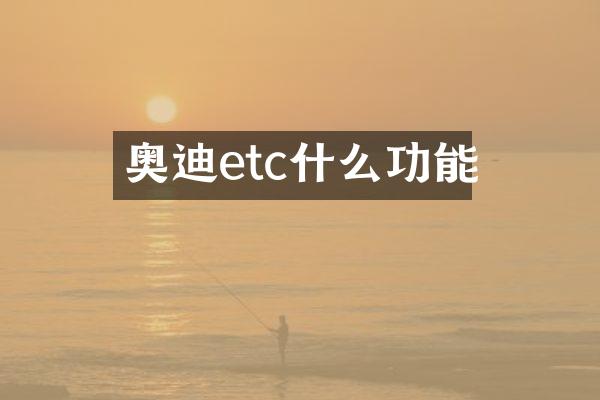 奥迪etc什么功能