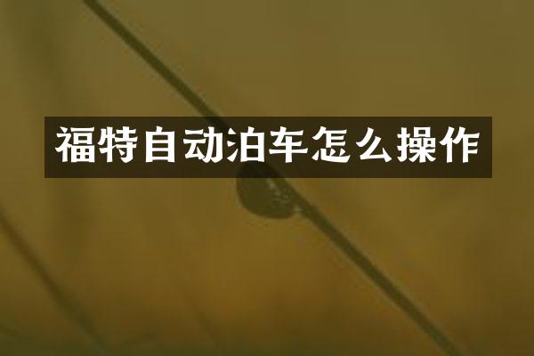 福特自动泊车怎么操作