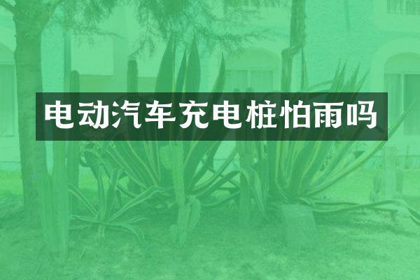 电动汽车充电桩怕雨吗