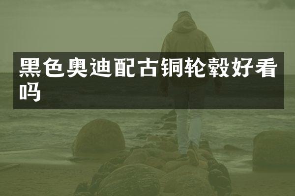 黑色奥迪配古铜轮毂好看吗