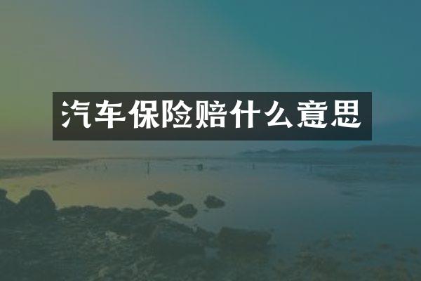 汽车保险赔什么意思