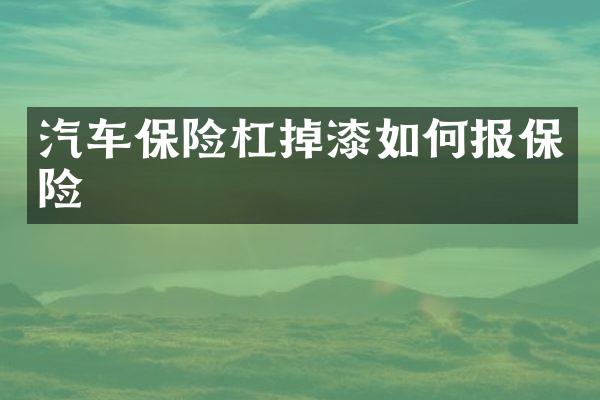 汽车保险杠掉漆如何报保险