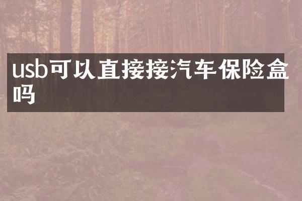 usb可以直接接汽车保险盒吗