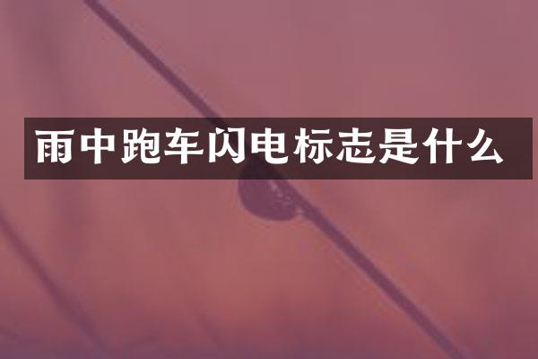 雨中跑车闪电标志是什么