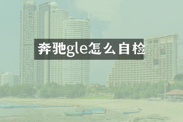 奔驰gle怎么自检
