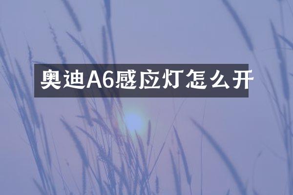 奥迪A6感应灯怎么开