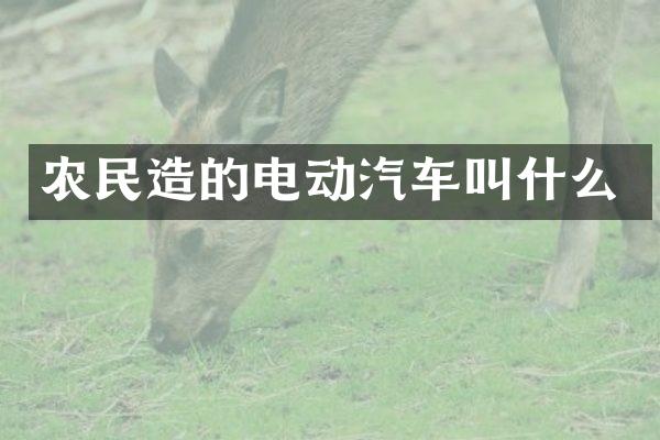 农民造的电动汽车叫什么