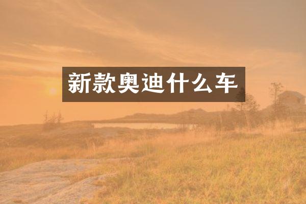 新款奥迪什么车