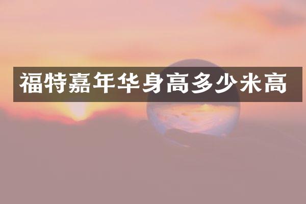 福特嘉年华身高多少米高