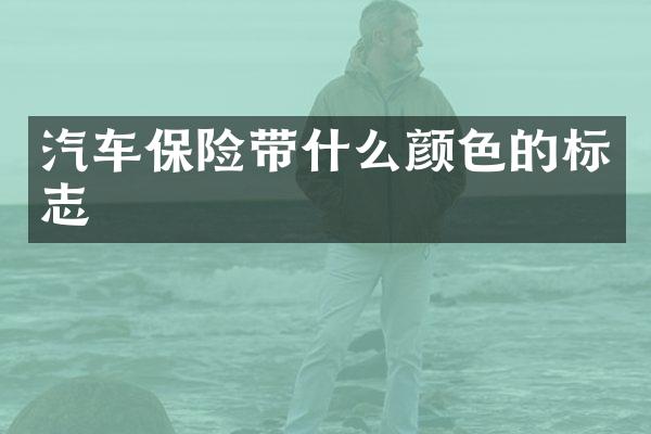 汽车保险带什么颜色的标志