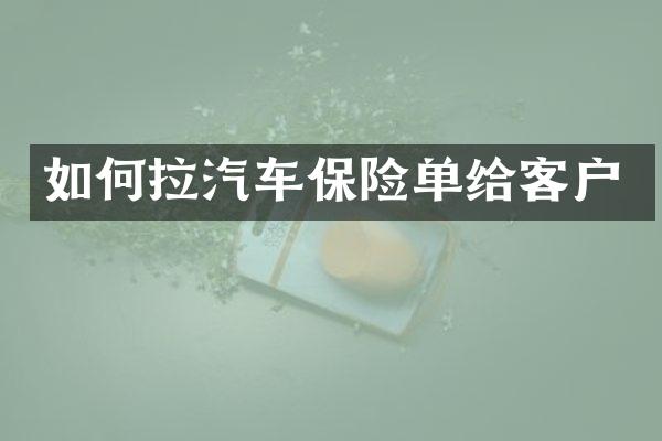 如何拉汽车保险单给客户