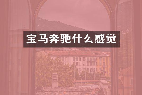 宝马奔驰什么感觉