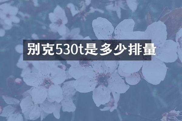 别克530t是多少排量
