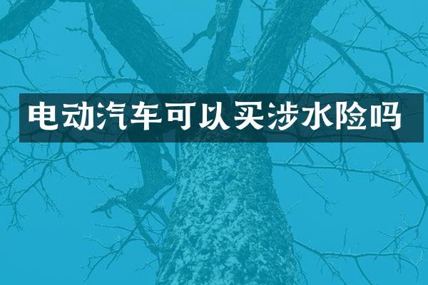 电动汽车可以买涉水险吗