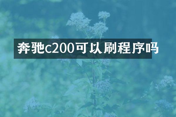 奔驰c200可以刷程序吗