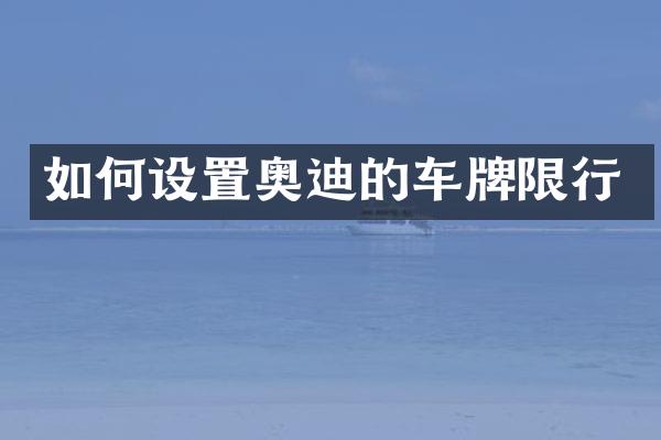 如何设置奥迪的车牌限行