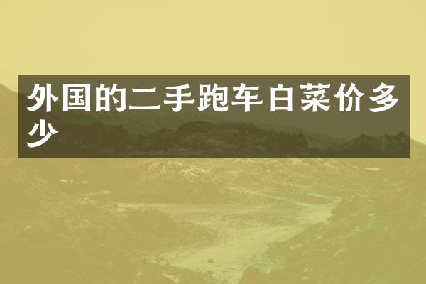外国的二手跑车白菜价多少