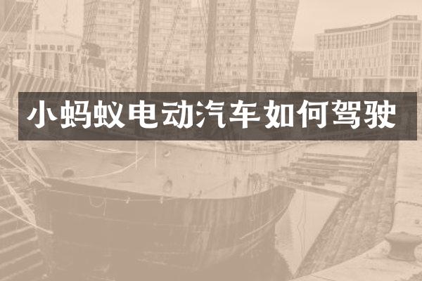 小蚂蚁电动汽车如何驾驶