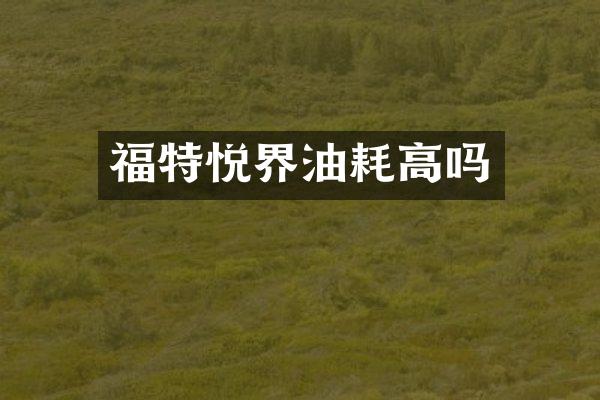 福特悦界油耗高吗