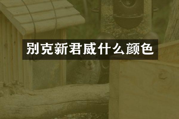 别克新君威什么颜色