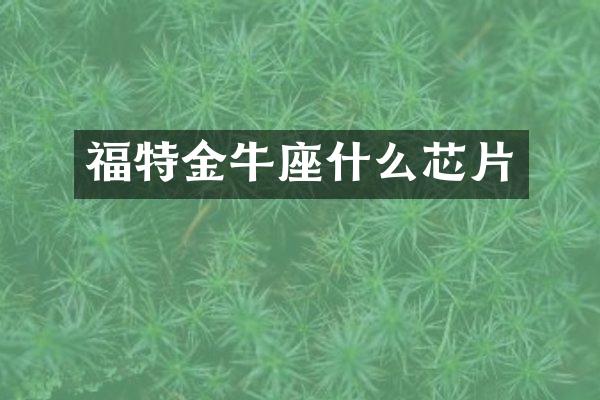 福特金牛座什么芯片