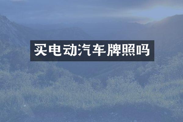 买电动汽车牌照吗