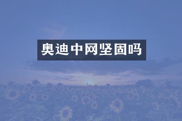 奥迪中网坚固吗
