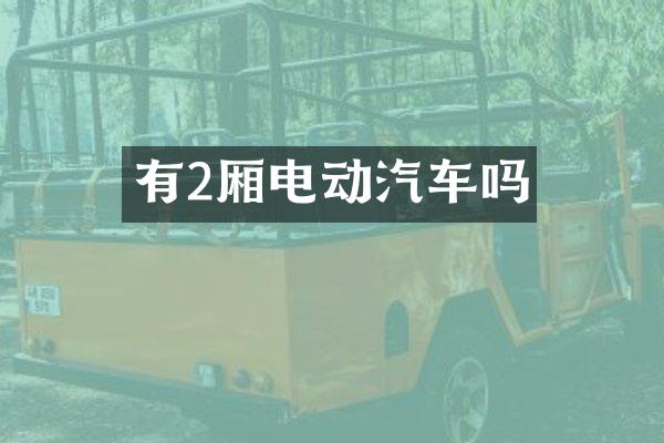 有2厢电动汽车吗
