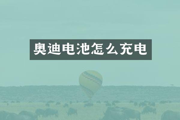 奥迪电池怎么充电