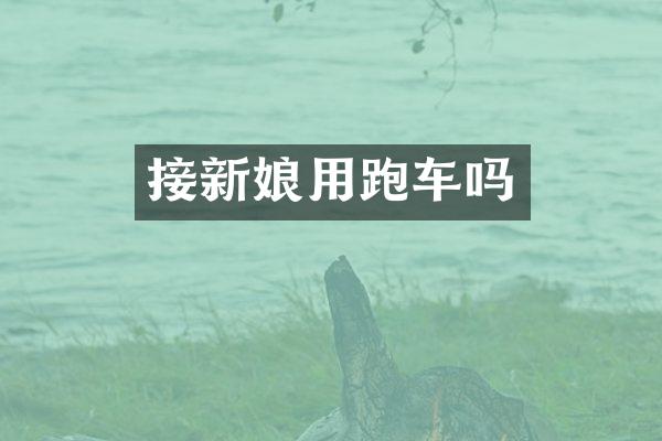 接新娘用跑车吗